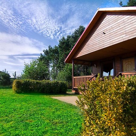 Zacisze Pod Laskiem Karwienskie Bloto Exterior photo